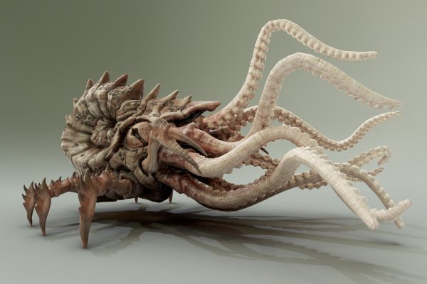Kraken зеркало стор