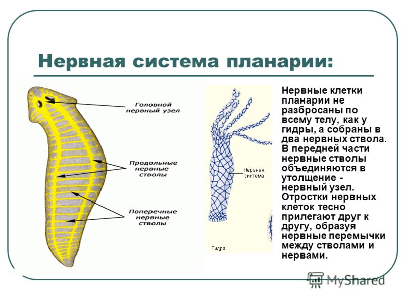 Регистрация на сайте кракен