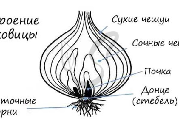 Кракен актуальная ссылка kraken torion net