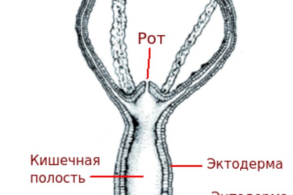 Кракен маркет зайти