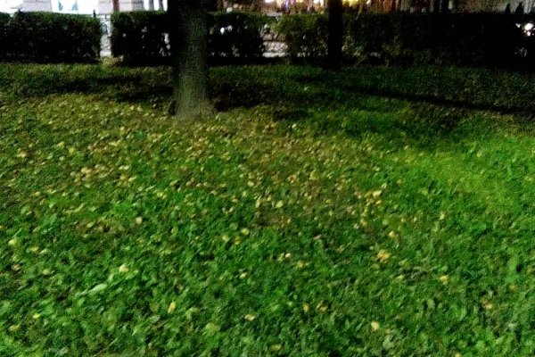 Ссылки даркнета
