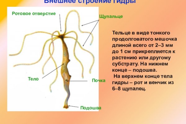 Оригинальные ссылки кракена
