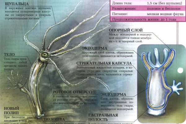 Кракен зеркало впн