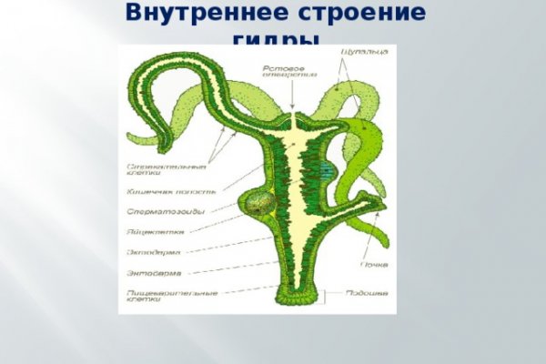 Кракен ссылка тупа германия