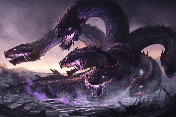 Kraken site