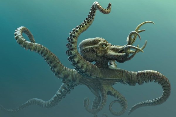 Kraken официальная ссылка tor