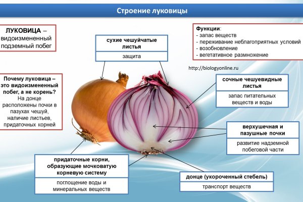 Как вывести с кракена